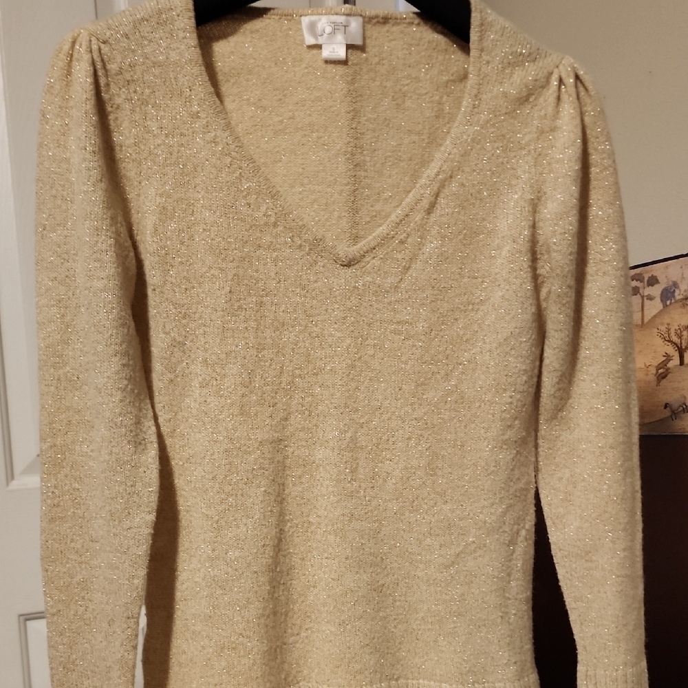 Ann Taylor Loft Sparkling Beige Sweater